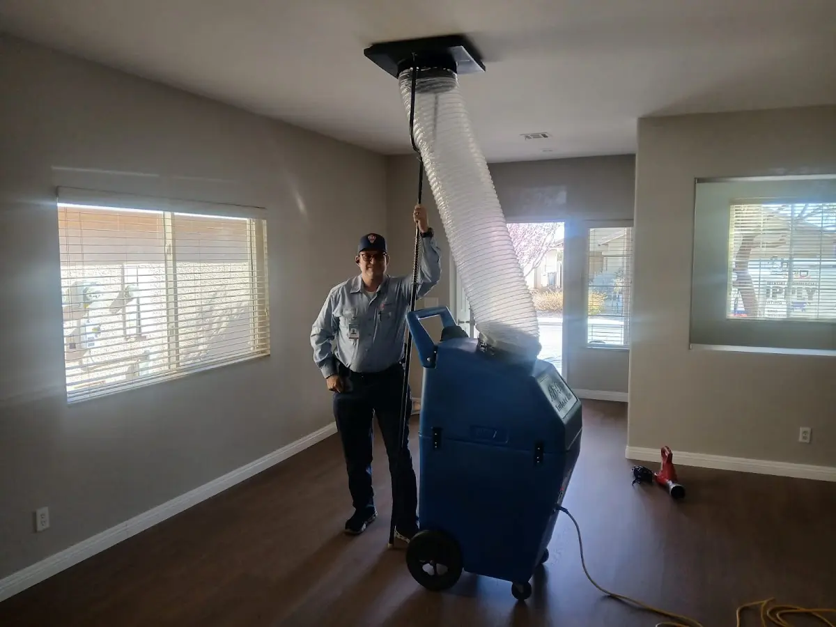 Professional Dryer Vent Cleaning work inside a Pinewood home